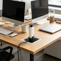 Prise intelligente automatique de cuisine îlot intégré OEM prise d'interrupteur de bureau cachée prise de levage