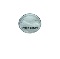 Prix usine de qualité alimentaire trypsine chymotrypsine enzyme poudre blanche bromélaïne dans la bouteille CAS 9002