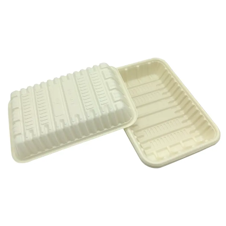 Disposable PLA Biodegradable Compostable Meat Tray Plate Fruit Poultry Food Tray Supermarket Use Plastic Food Tray