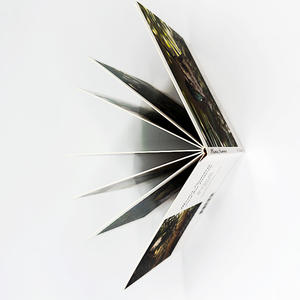 Servicio de Impresión de Libros de Cuentos Infantiles con Tapa Dura Personalizada, Papel de Arte, Cubierta de Cartón, Laminación de Película e Impresión Offset - Product Image 3