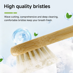 Têtes <span class=keywords><strong>de</strong></span> <span class=keywords><strong>brosse</strong></span> <span class=keywords><strong>de</strong></span> rechange en bambou naturel avec poils <span class=keywords><strong>de</strong></span> sanglier pour la série <span class=keywords><strong>Sonicare</strong></span> Diamond Clean Protective Clean - Product Image 4