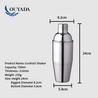Shaker à cocktails professionnel en acier inoxydable de 750 ml, shaker à cocktail anti-fuite, kit de barman pour les fournitures de bar à domicile