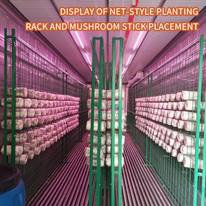 Contenedor de cultivo de setas de 40 pies, humidificación completamente automática y control de temperatura, almacén cuadrado de setas - Product Image 3