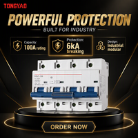 Disjoncteur miniature DZ47-125 100A 400V 6kA MCCB 1P 2P 3P 4P Montage sur rail DIN pour distribution électrique
