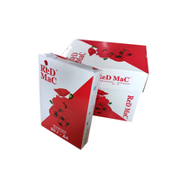Usine OEM 70gsm 75gsm 80gsm boîte de papier de copie A4 A3 100% sans bois 500 feuilles de papier d'art Ream 5 Ream Box Office