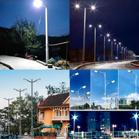 Lampadaire LED haute luminosité AC extérieur étanche IP66 150W-200W en aluminium haute efficacité pour autoroute, parc, jardin OEM