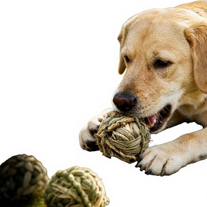 Juguete de Pelota de Paja para Perros - Rompecabezas de Enriquecimiento Ambiental, Trabajo Olfativo, Cuidado Dental y de Dientes para Cachorros - Product Image 1