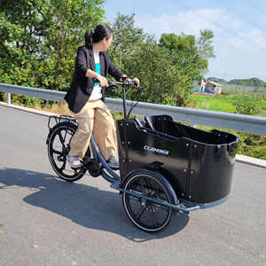 4 posti per bambini elettrico Cargo Bike power assist per adulti triciclo trasporto e spesa di generi alimentari Cargo Bike - Product Image 3