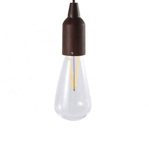 Outdoor Portable Camping <strong>Lights</strong> Retro Lighting LED <strong>Pull</strong> Wire Lamp Camping Atmosphere Tent Decoration <strong>String</strong> <strong>Lights</strong> - Product Image 6