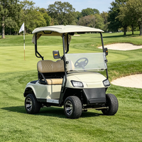 Voiturette de golf électrique 2 places, alimentée par batterie lithium, scooter de golf électrique, voiturettes électriques pour adultes