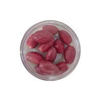 Poudre d'extrait de fruit Miracle Berry OEM/ODM, Poudre Miracle séchée, Synsepalum Dulcificum Daniell, Baies Miracle lyophilisées