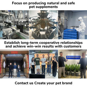 Premio probiotici per cani integratore per la salute dell'apparato digerente per animali domestici veterinario raccomandato per l'immunità del cane e il supporto della Flora intestinale (certificato GMP) - Product Image 6