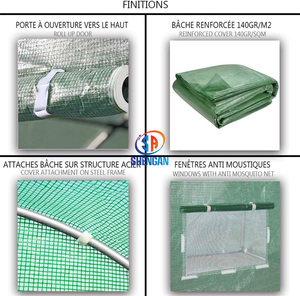 Vendite dirette della fabbrica PE giardino 4x3x2m Tunnel fragola politunnel serra per l'agricoltura - Product Image 3