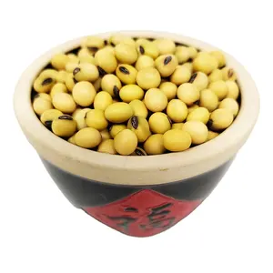 New Crop wholesale Yellow Grade 1 Non-GMO Soya/Soja/Soybeans Organic Soybeans