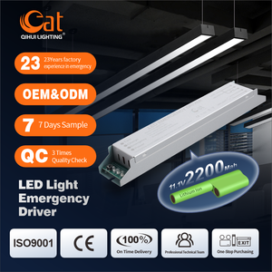 Driver LED d'urgence pour kit tubulaire – Nouvelle Arrivée, Meilleure Vente, Puissance Maximale 5-20W, AC 85-265V, Alimentation de Secours - Product Image 2