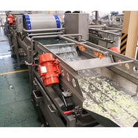Commerciële apparatuur voor het wassen en reinigen van fruit en groenten, geschikt voor fruit- en groenteverwerkingsbedrijven