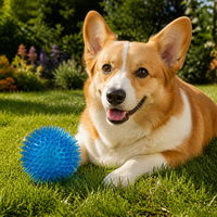 Balle à mâcher interactive moderne pour chien en TPR, résistante, pour le nettoyage dentaire, disponible en 2 tailles