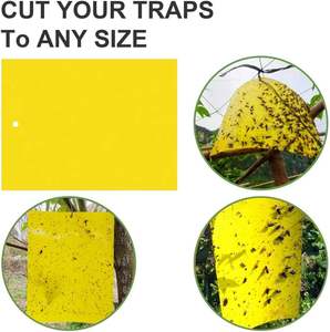 Желтая липкая ловушка 20*25 см, двусторонняя, нетоксичная, для отслеживания и борьбы с тли, белой мушкой в помещениях, теплицах и садах - Product Image 3