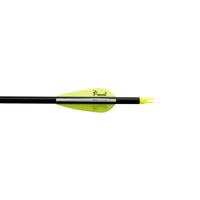 Flèches Pinals Archery 300 340 400 500 600 Spine pour arcs composés, arcs classiques, arcs longs, flèches en carbone de 30 32 pouces