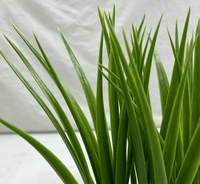 Bonsaï en herbe artificielle, plante en pot petite et éco-responsable avec des feuilles hautement réalistes pour la décoration intérieure