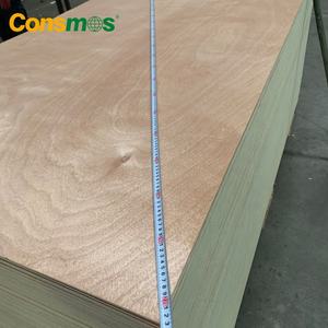 Tablero de Madera Contrachapada Comercial de Madera Dura <span class=keywords><strong>Okumen</strong></span>/Bintangor/Pino al Mejor Precio con Certificados CE/FSC/ISO/CARB - Product Image 2