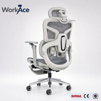 Chaise de bureau ergonomique de direction en maille Dragon, conforme aux normes EN 1335 et BIFMA, avec structure en nylon, design minimaliste, pour projets OEM en gros et personnalisation.