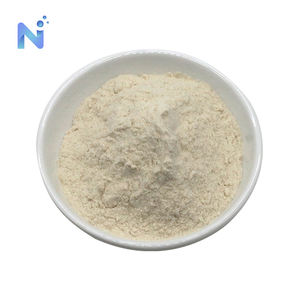 Toptan Gıda Sınıfı %100 Doğal Saf <span class=keywords><strong>Psyllium</strong></span> Kabuğu Tozu - Product Image 2