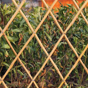 Tự nhiên làm bằng tay mở rộng tre mía vườn hàng rào CuộN tre cực nhà máy hàng rào tre cổ phần cán hàng rào - Product Image 4