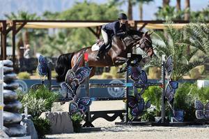 Système <span class=keywords><strong>de</strong></span> clôtures <span class=keywords><strong>de</strong></span> saut d'obstacles élégant et <span class=keywords><strong>de</strong></span> haute qualité pour l'entraînement en arène et la préparation au saut d'obstacles - Product Image 3