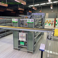Système de cage à Super couches, meilleur accessoire automatique de ferme de volaille pour poulet
