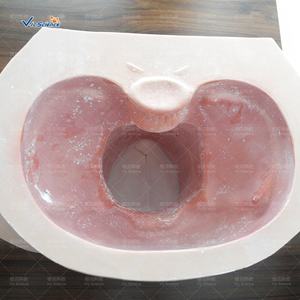 Modèle de formation avancée simulée de sage-femme pour les étudiants en médecine dans l'enseignement hospitalier - Product Image 2