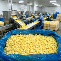 Groothandel Diepvries Dessert Exotische Mango Smaak Diepvries Mango OEM ODM Beschikbaar 10kg Karton Bulkverpakking
