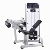 Machine à extensions et flexions assises pour les jambes, équipement d'entraînement musculaire des jambes pour la musculation en salle de sport, club de fitness et à domicile