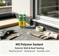 Scellant polymère MS résistant aux intempéries, adhésif flexible pour le jointement des cadres de verrière et de serre en verre