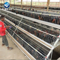 Poussins de chair d'un jour de Chine à vendre en Afrique / Équipement d'élevage avicole pour poules pondeuses