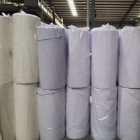 Matériau de frappe en polyester découpé à l'emporte-pièce Type de tissu en organza Revêtement en PES Manchon en feutre souple Cage Aiguille perforée Entoilage matelassé