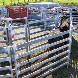 Valla de Acero Galvanizado de 6 Barras para Ganado, <span class=keywords><strong>Corral</strong></span>, Paja y Jardín, Precio de Fábrica - Product Image 3