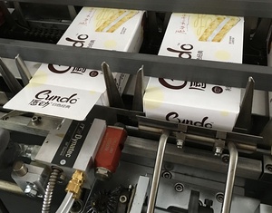 التلقائي البعوض طارد لفائف البخور آلة تعبئة في صناديق مربع Cartoning التعبئة آلة - Product Image 4