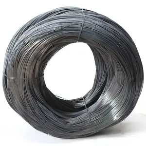 Bán hàng nóng SAE 1065 1080 dây thép carbon cao 0.3mm 1mm trong kho