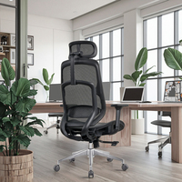 Chaise de bureau ergonomique pour personnel, chaise en maille sédentaire, rotative et élévatrice, chaise d'ordinateur d'apprentissage confortable et respirante
