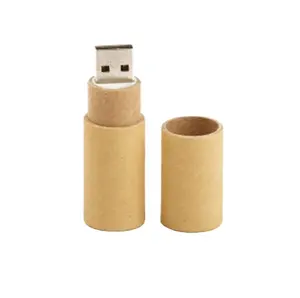 Umwelt freundliches Recycling papier USB-Flash-Laufwerk Karton-Stick 1GB 2GB 4GB 8GB 16GB 32GB