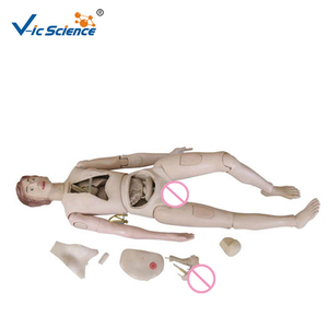 Muñeca de entrenamiento de enfermera de alta calidad (femenina) Simuladores de maniquíes para entrenamiento médico maniquí médico - Product Image 6