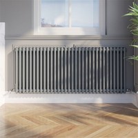 Radiateur de colonne thermostatique de chauffage central horizontal de longue durée Doz