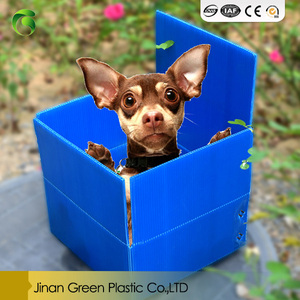 Caja Transportadora de Mascotas Portátil de PP, Plegable, Aprobada por Aerolíneas, para Viajes, para Perros y Gatos - Product Image 6