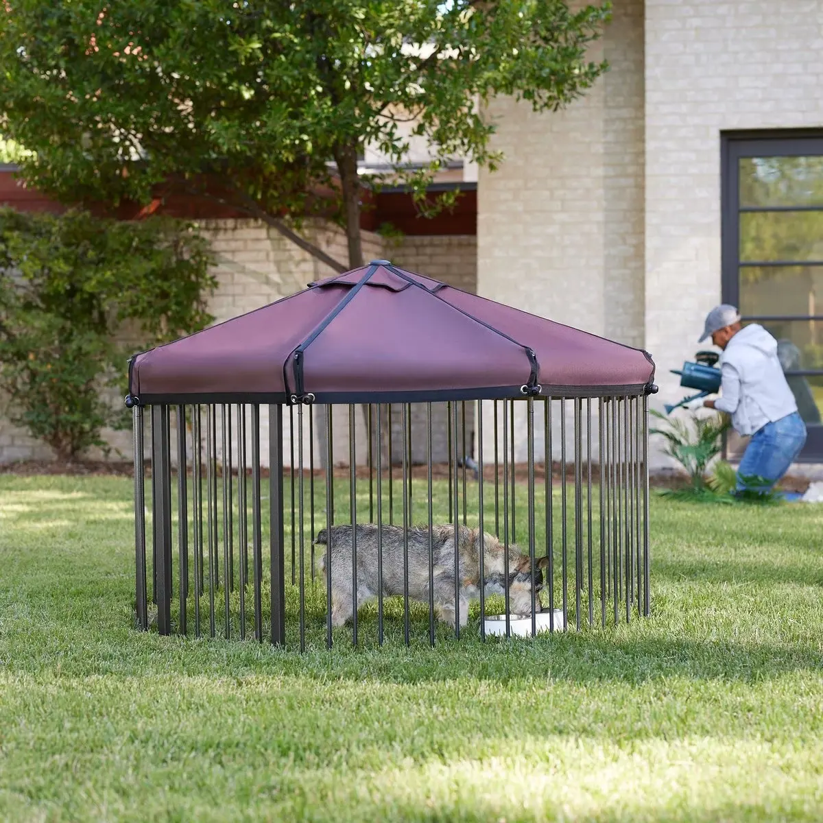 Perro pluma al aire libre de metal galvanizado de acero cachorro de 8 paneles configurable puerta y corralito valla para mascotas con techo de Oxford, 30 pulgadas