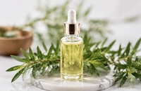 Huile d'arbre à thé MANHAY de qualité cosmétique, liquide séché par pulvérisation MH53879
