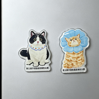 Aimants en acrylique en forme de chat de dessin animé, réalistes, avec dos magnétique puissant, pour magasin d'animaux, cadeau, décoration de réfrigérateur, souvenir