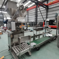 Automatische Verpackungsmaschine für kleine Beutel, 25 kg Großbeutel-Verpackungsmaschine für Kakaopulver