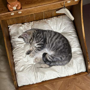 Maisonnette en bois pour animaux de compagnie, espace de repos calme et confortable avec lit moelleux pour chiens et chats - Product Image 1