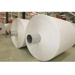 중국 친환경 제조 바위 돌 종이 포장 포장